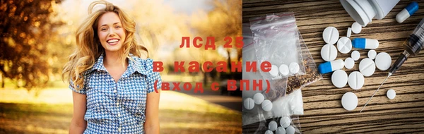 спиды Горняк