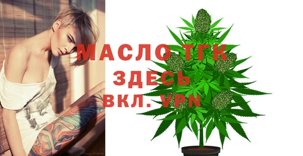 спиды Горняк