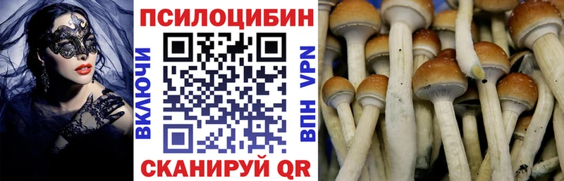 ссылка на мегу зеркало  купить наркоту  Долинск  Псилоцибиновые грибы Magic Shrooms 